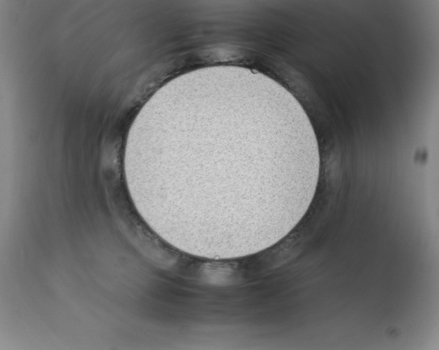 X0000111880373200909031846