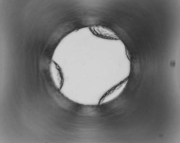X0000111880380200909031846