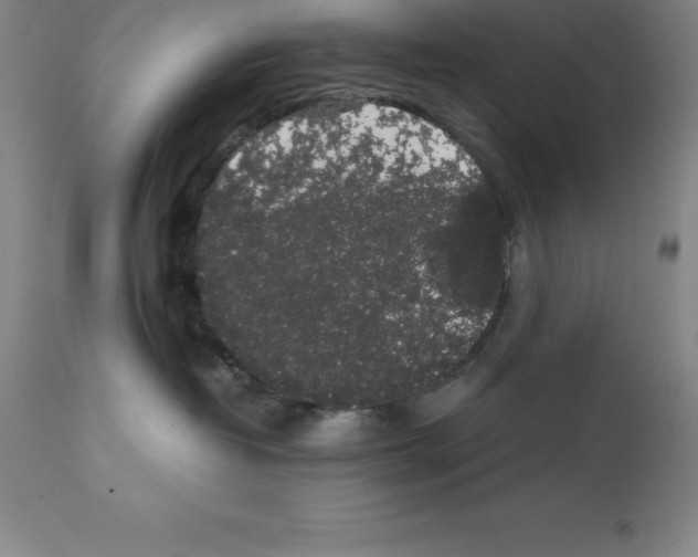 X0000111880382200909031846