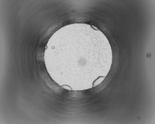 X0000111880384200909031846