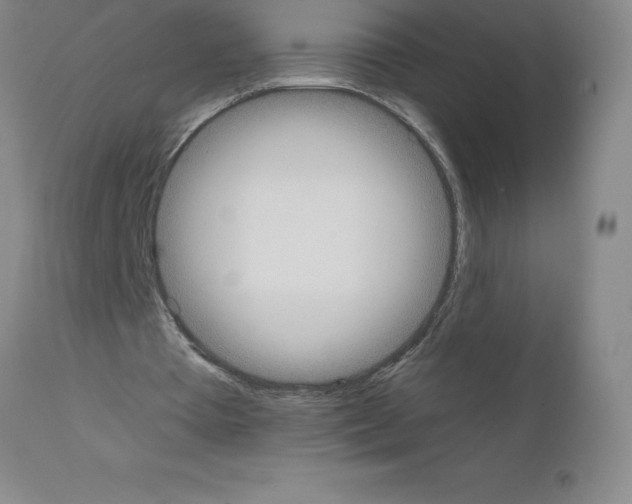 X0000111880385200909031845
