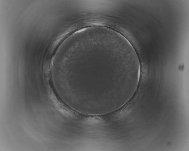 X0000111880386200909031845