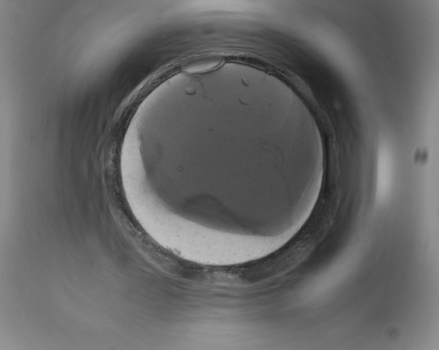 X0000111880387200909031845