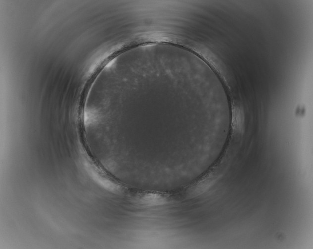 X0000111880390200909031845
