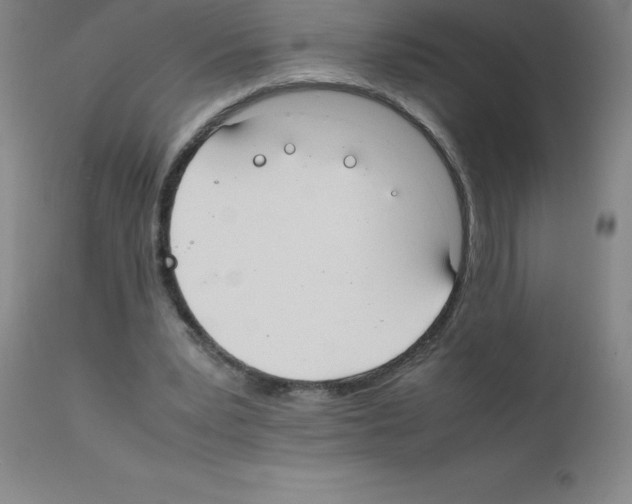 X0000111880391200909031845