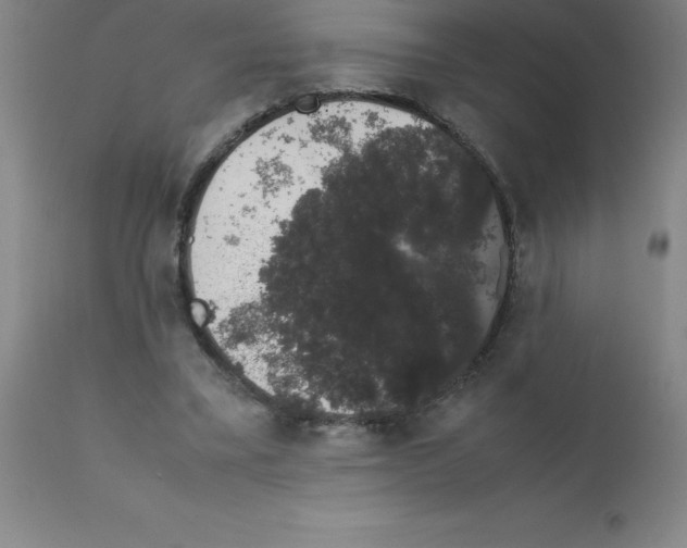 X0000111880395200909031845