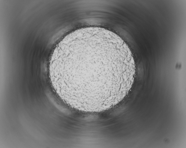 X0000111880398200909031845