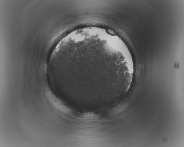 X0000111880399200909031845