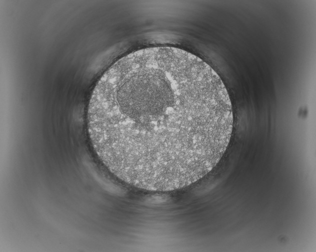 X0000111880402200909031845
