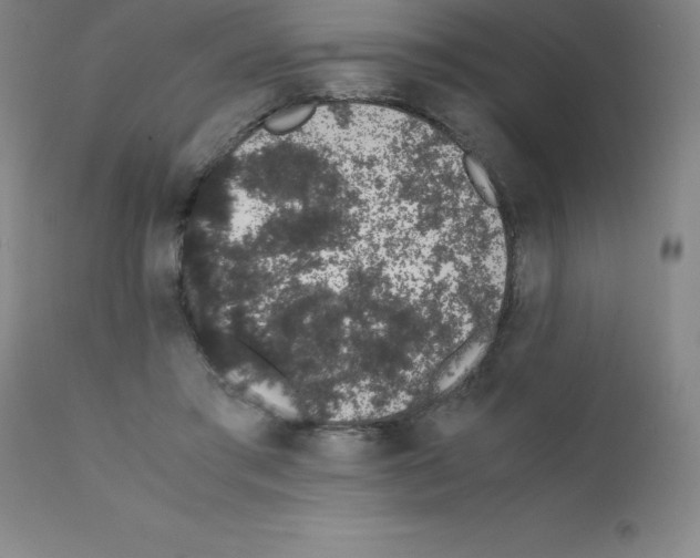 X0000111880405200909031845