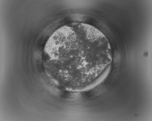 X0000111880409200909031845