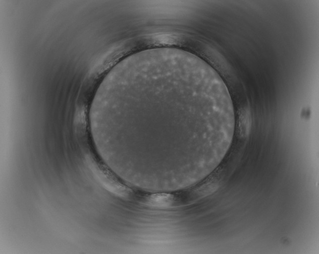 X0000111880410200909031845