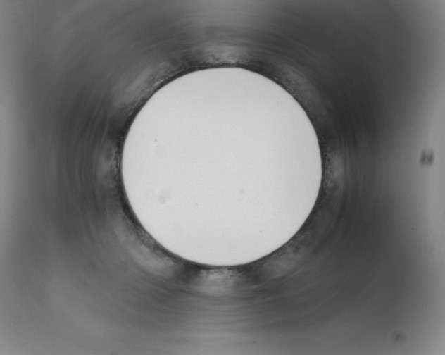 X0000111880414200909031845