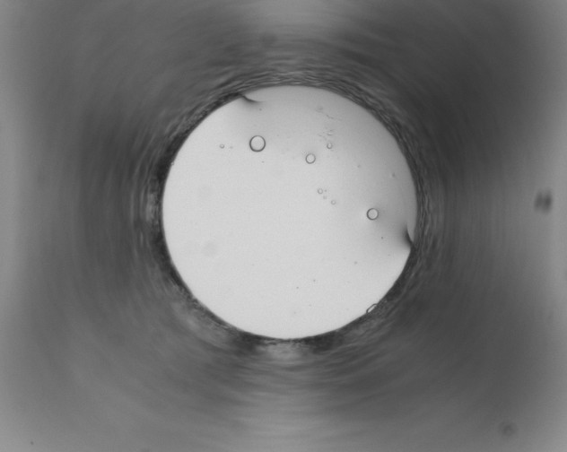 X0000111880417200909031845