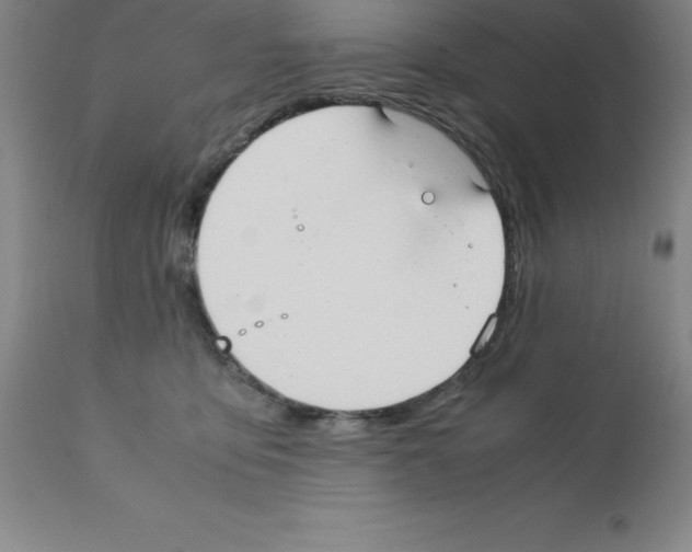 X0000111880419200909031845