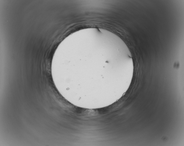 X0000111880421200909031845