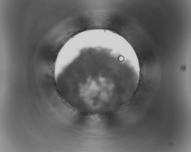 X0000111880423200909031845