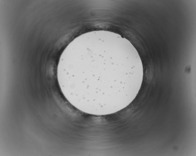 X0000111880424200909031845