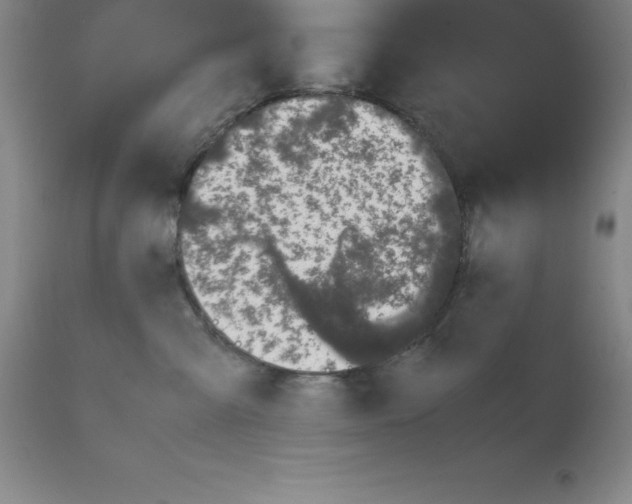 X0000111880427200909031845
