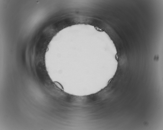 X0000111880429200909031845