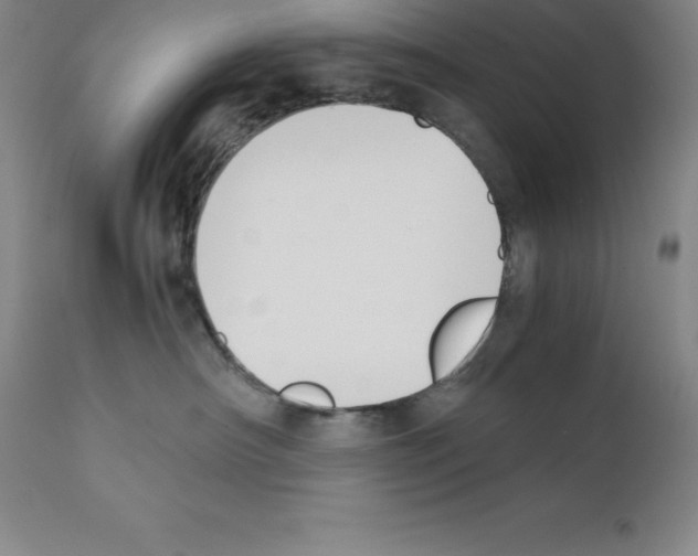 X0000111880430200909031845