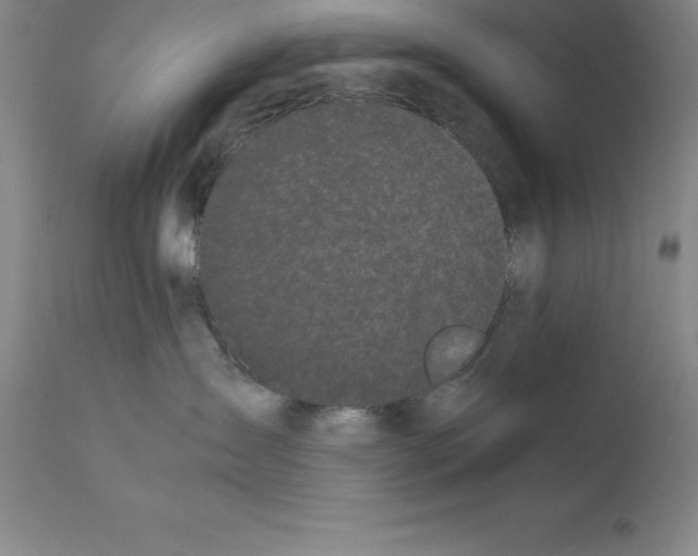X0000111880431200909031845