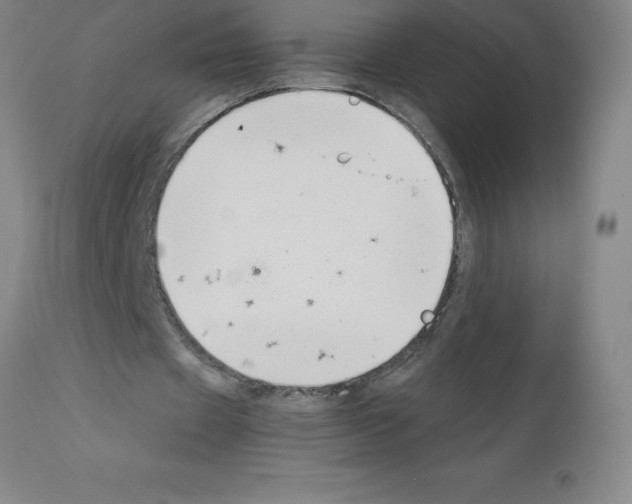 X0000111880433200909031844