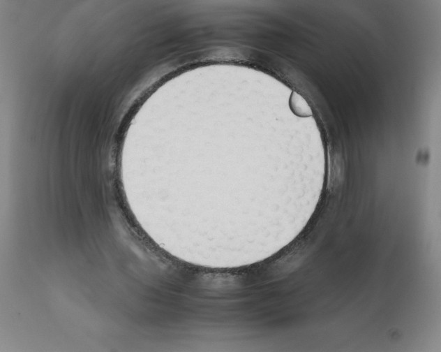 X0000111880435200909031844