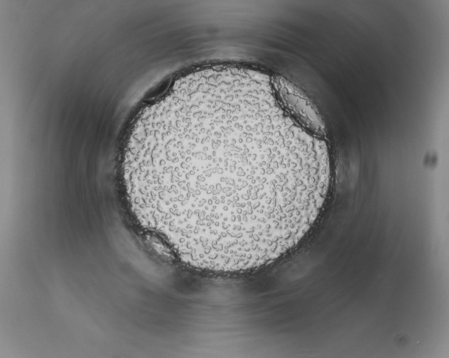 X0000111880436200909031844