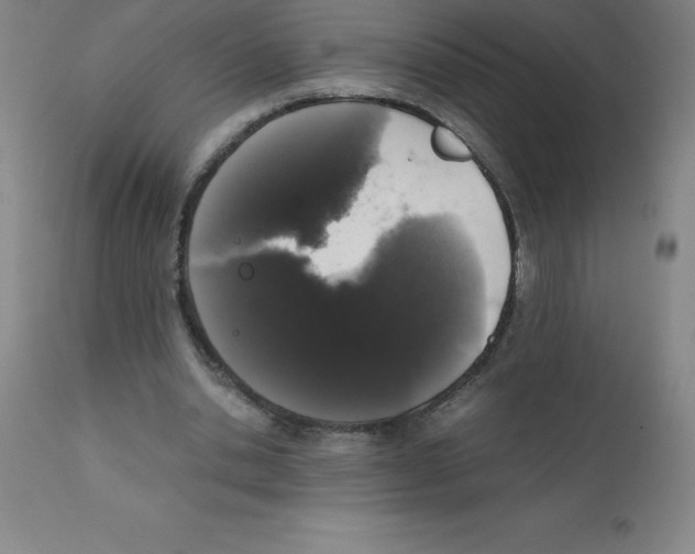 X0000111880438200909031844