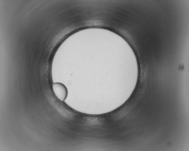 X0000111880439200909031844