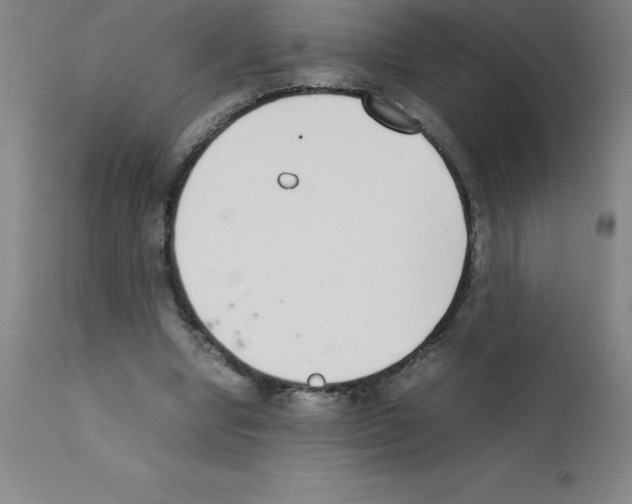 X0000111880442200909031844