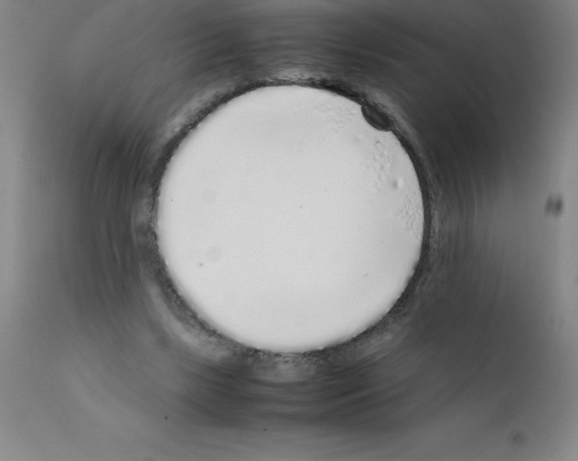 X0000111880443200909031844