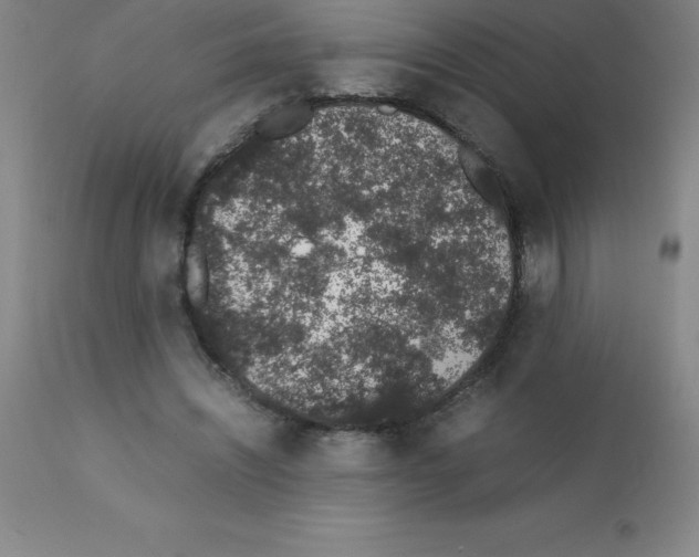 X0000111880444200909031844