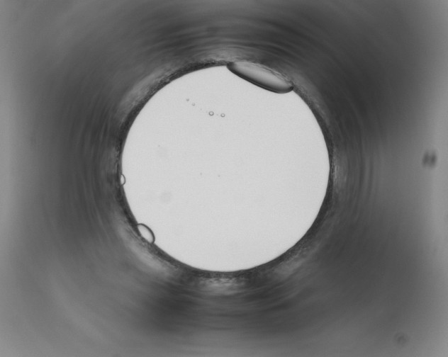 X0000111880445200909031844