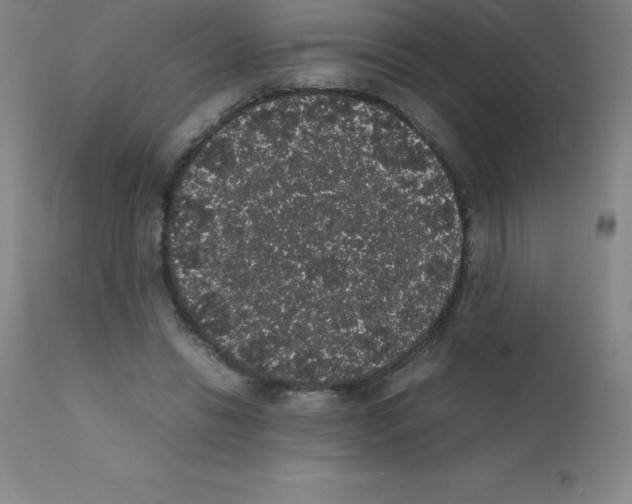 X0000111880446200909031844