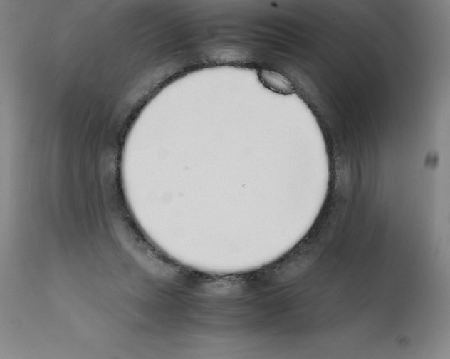 X0000111880447200909031844