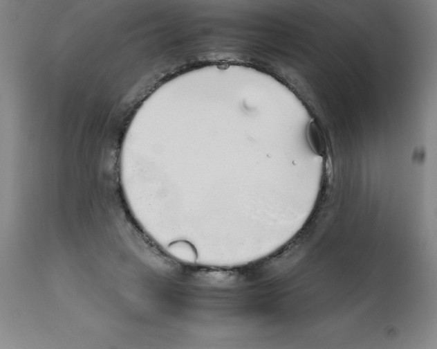 X0000111880449200909031844
