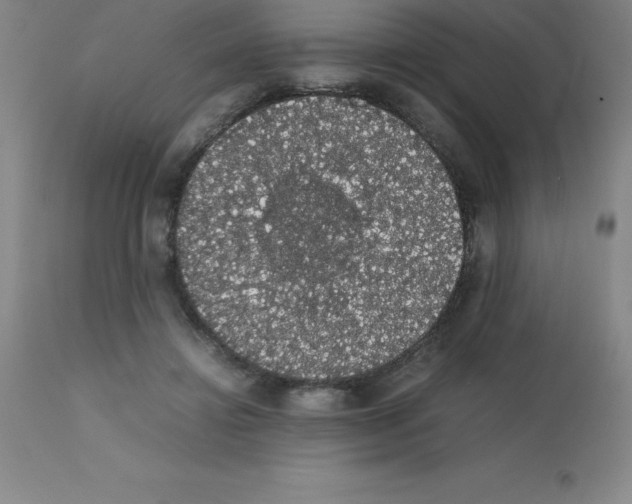 X0000111880452200909031844