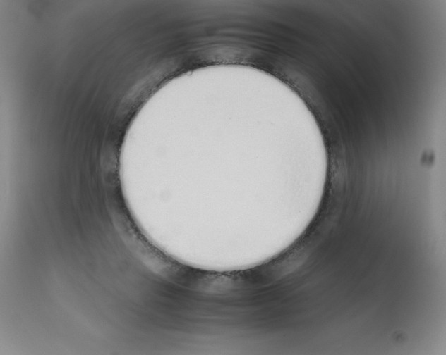 X0000111880453200909031844