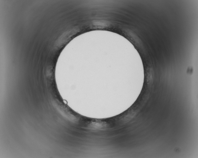 X0000111880455200909031844