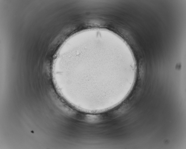 X0000111880457200909031844