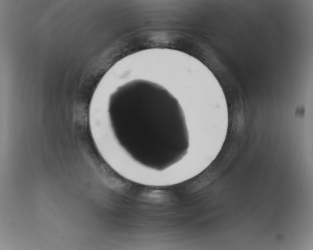 X0000111880467200909031844