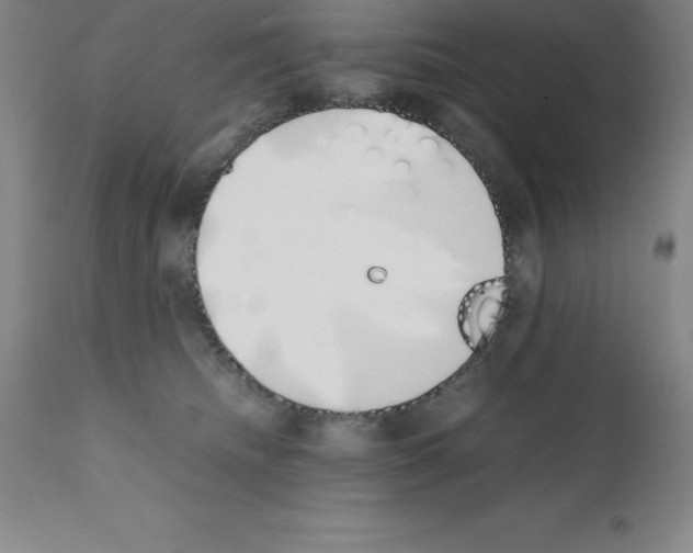 X0000111880468200909031844