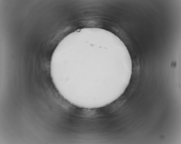 X0000111880469200909031845