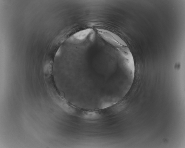 X0000111880475200909031845