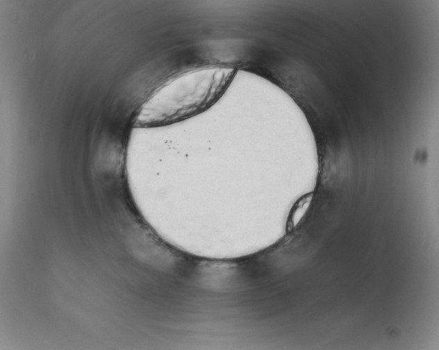 X0000111880476200909031845