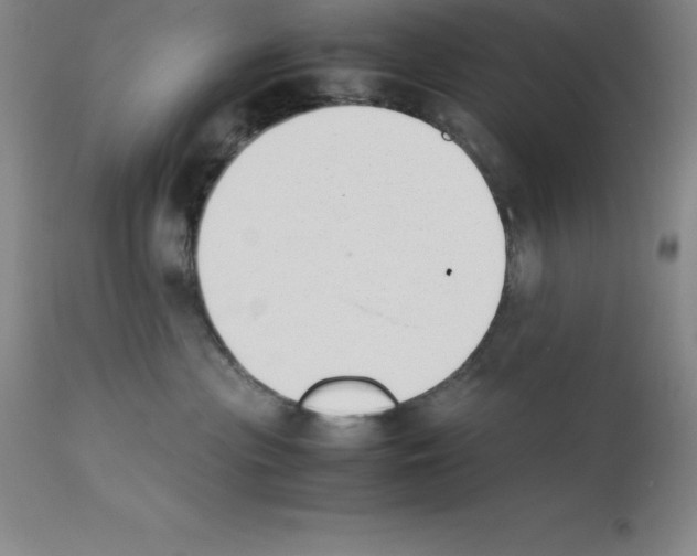 X0000111880477200909031845