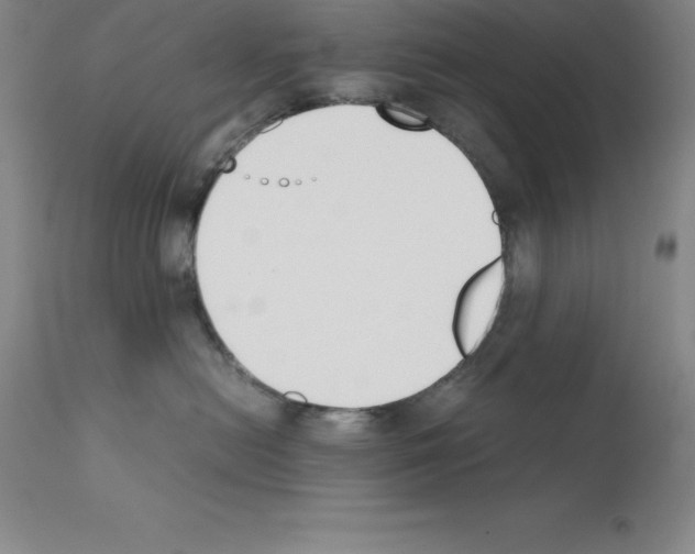 X0000111880478200909031845