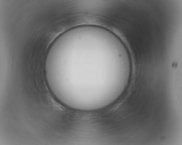 X0000111880481200909031844